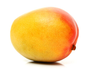 Mango on a white background