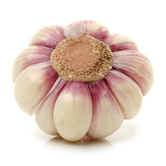 Fresh young garlic isolated on white background
