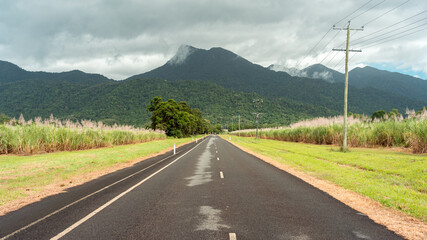 Road towards the Mossman Gorge UNESCO heritage site surrounded by sugar cane fields, Queensland, Australia