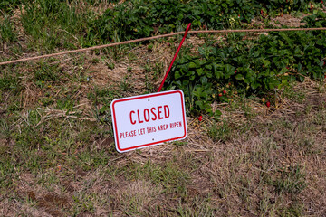 White sign on a rope next to a metal red pole of a strawberry field on a farm in Oregon read "Closed" and "Please let this area ripen"