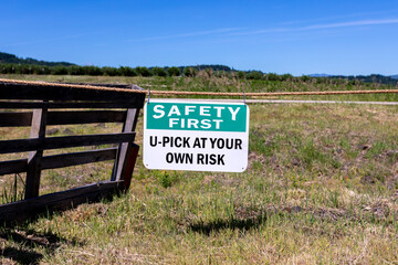 A white and green information sign on a rope read "Safety first" and "U-pick at our own risk"