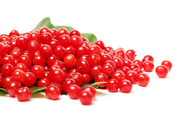 cherries on white background 