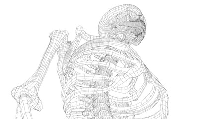 Human skeleton. Vector - obrazy, fototapety, plakaty