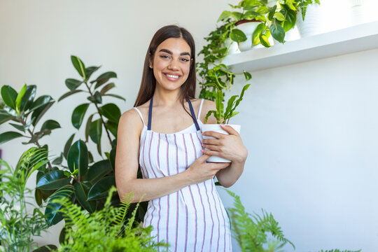 Closeup of housewife holding green plant and looking at camera with pleased smile, holding flowerpot, loves gardening and nature. indoor shot