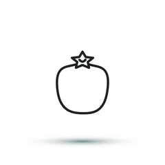Vector pomegranate icon. Fresh healthy fruit symbol. For design, web site design, logo, app, UI. 