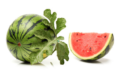 watermelon on a white background 