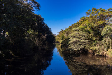 Fototapeta na wymiar Paisagem com rio e árvores