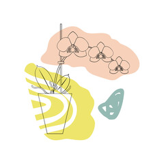 Line art black tropical potted house plant moth orchid with colorful abstract boho shape background. Stock vector illustration.