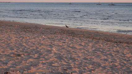 Baia Falminia Pesaro