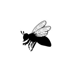 Bee icon design template vector isolated illustration