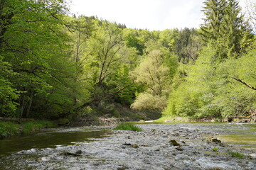 Schöne Mangfall bei Grub