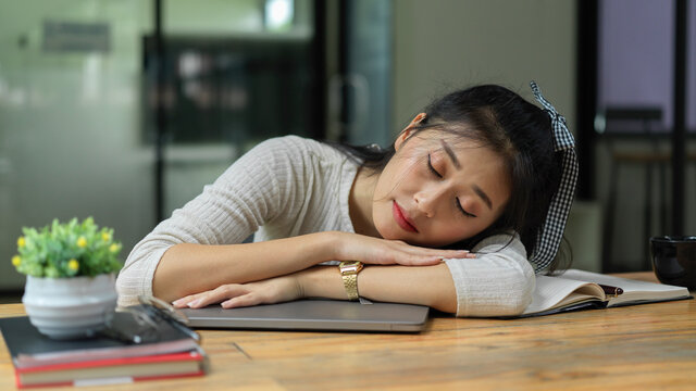 Portrait of female student take a nap while doing assignment in living room