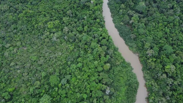 Aerial view of Amazon rainforest in Brazil, South America. Green forest. Bird's-eye view.
