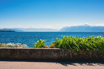 Paysage Lémanique, Morges
