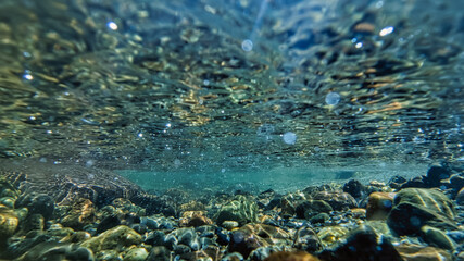 清流の水中