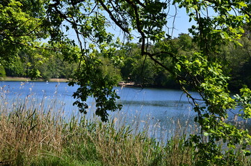 Landschaft im Frühling am See Krumme Lanke, Grunewald, Zehlendorf, Berlin