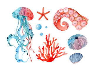 Jellyfish tropical sea watercolor isolated elements set collection