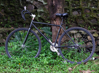 Fototapeta na wymiar Bicycle leaning against a tree against a stone wall background