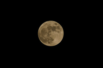 Fototapeta premium Whole giant moon