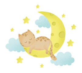 Cute little cat sleeping on the moon,  illustration, kids fashion artworks, baby graphics for wallpapers and prints.