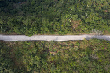 Aerial shot of a concrete path through dense woods, top view