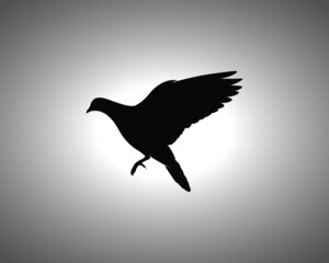 Pigeon Silhouette. Isolated Vector Animal Template for Logo Company, Icon, Symbol etc