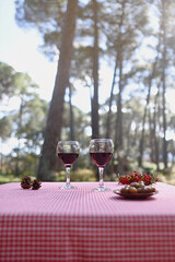 Table with two wine glasses in the woods in vertical format
