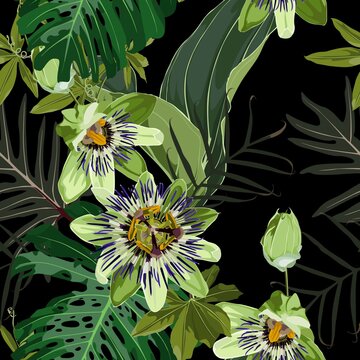 Seamless tropical palm leaves, Passiflora flowers. Jungle leaves  floral pattern on black background.