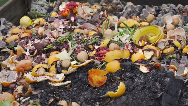 Disposing of food organic waste and sorting waste. Organic fertilizer for the vegetable garden