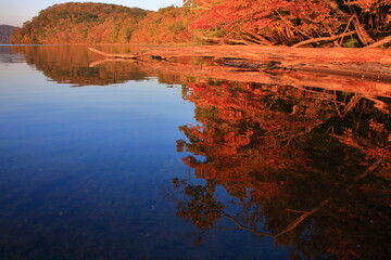 lake Kussharo, autumn 秋の屈斜路湖