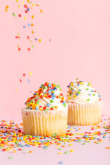 White cream cupcake with color sprinkles on rose