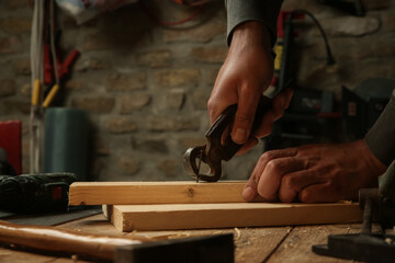 Carpenter pulling the nail with carpenters pincers.	