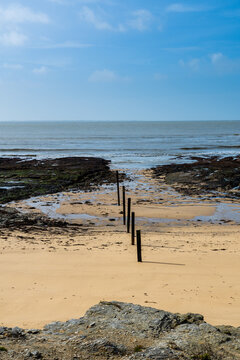Wooden poles on a beach in Prefailles near to Nantes - France