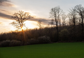 Country landscape in sunshine,Germany