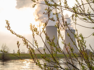 Branch with green leaves  against nuclear power plant.