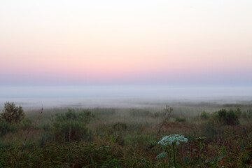 A beautiful foggy morning before sunrise on the horizon and grass on the meadow