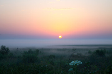 Vector graphics - a beautiful dramatic bright dawn with the sun on the horizon and a gradient sky...