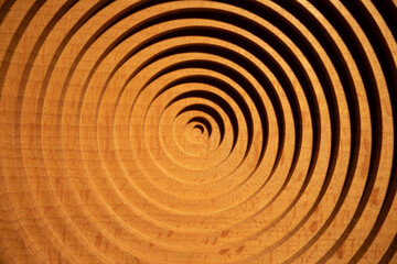 Aerial view of a circular geometric vertical beech wood plate. Concentric round beech wood plate...
