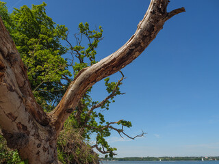 Die Halbiinsel Holnis in der Ostsee