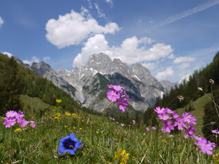 Im Klausbachtal