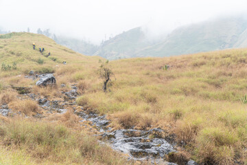 path to the mountains
