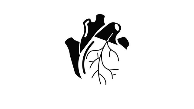 Human heart organ icon animation simple best object on white