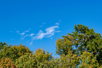 ペガサスに似た雲