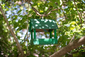 Green feeder for birds on a tree