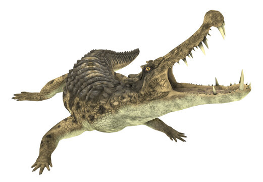 Prähistorisches Krokodil Kaprosuchus, Freisteller