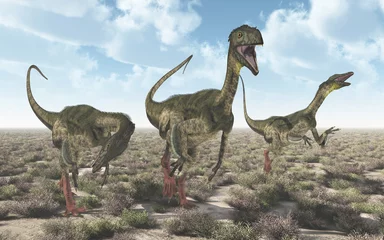Küchenrückwand glas motiv Dinosaurier Ornitholestes in einer Landschaft © Michael Rosskothen