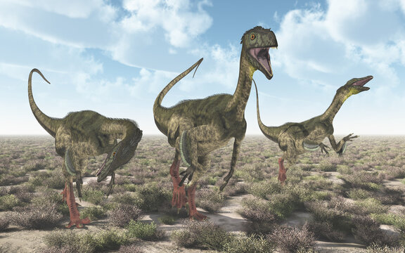 Dinosaurier Ornitholestes in einer Landschaft