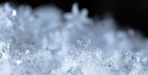 Obraz premium Snowflake in the snow, winter season
