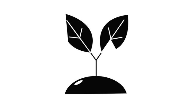 Plant sprout icon animation simple best object on white