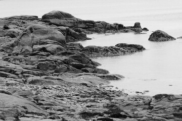 Rochers à marée basse .